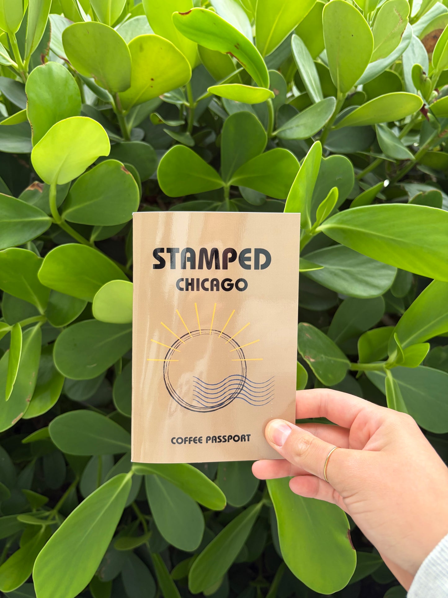 CHICAGO- Coffee Passport